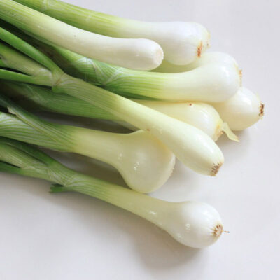 Green onion 48 bunches