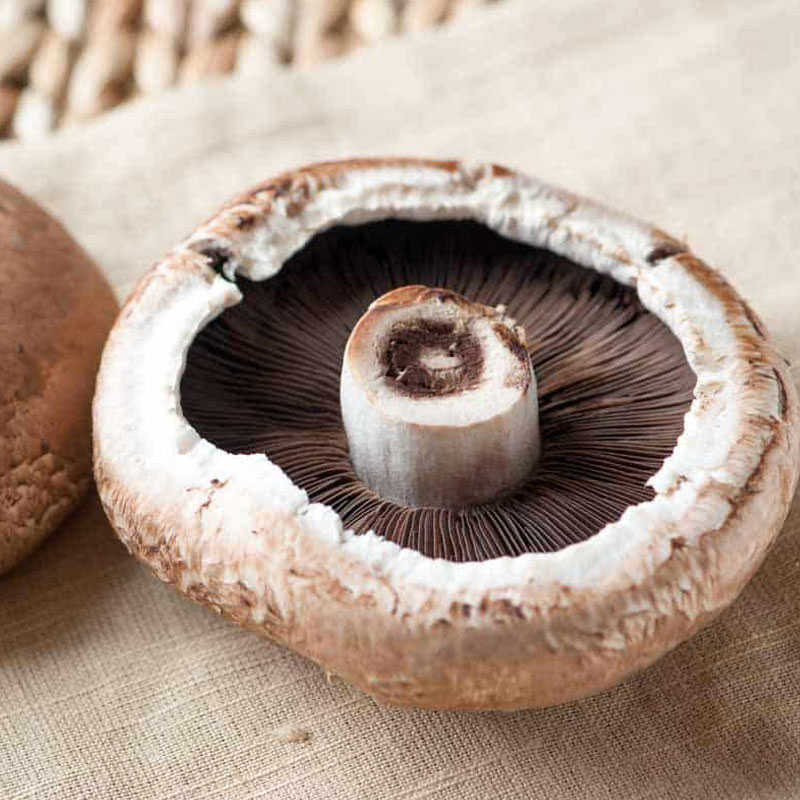 Portabello mushroom 3 lbs