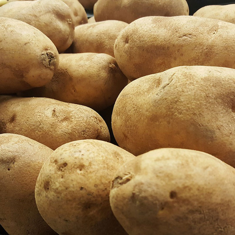 Russet potato 50 lbs