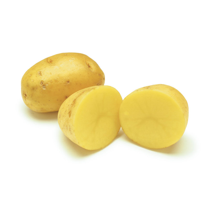 Yukon potato 50 lbs