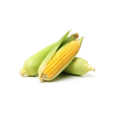 Corn case 48 pcs